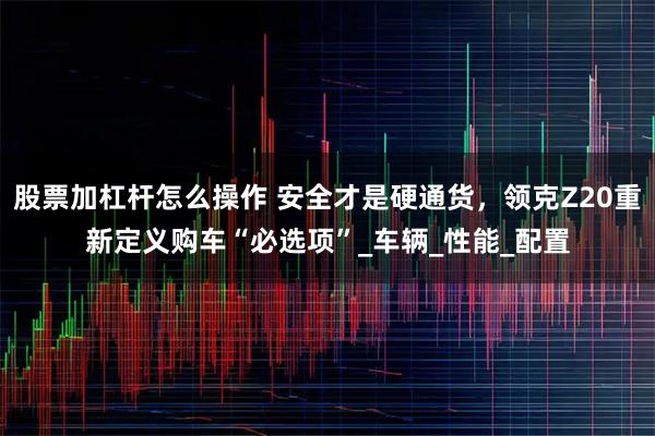 股票加杠杆怎么操作 安全才是硬通货，领克Z20重新定义购车“必选项”_车辆_性能_配置